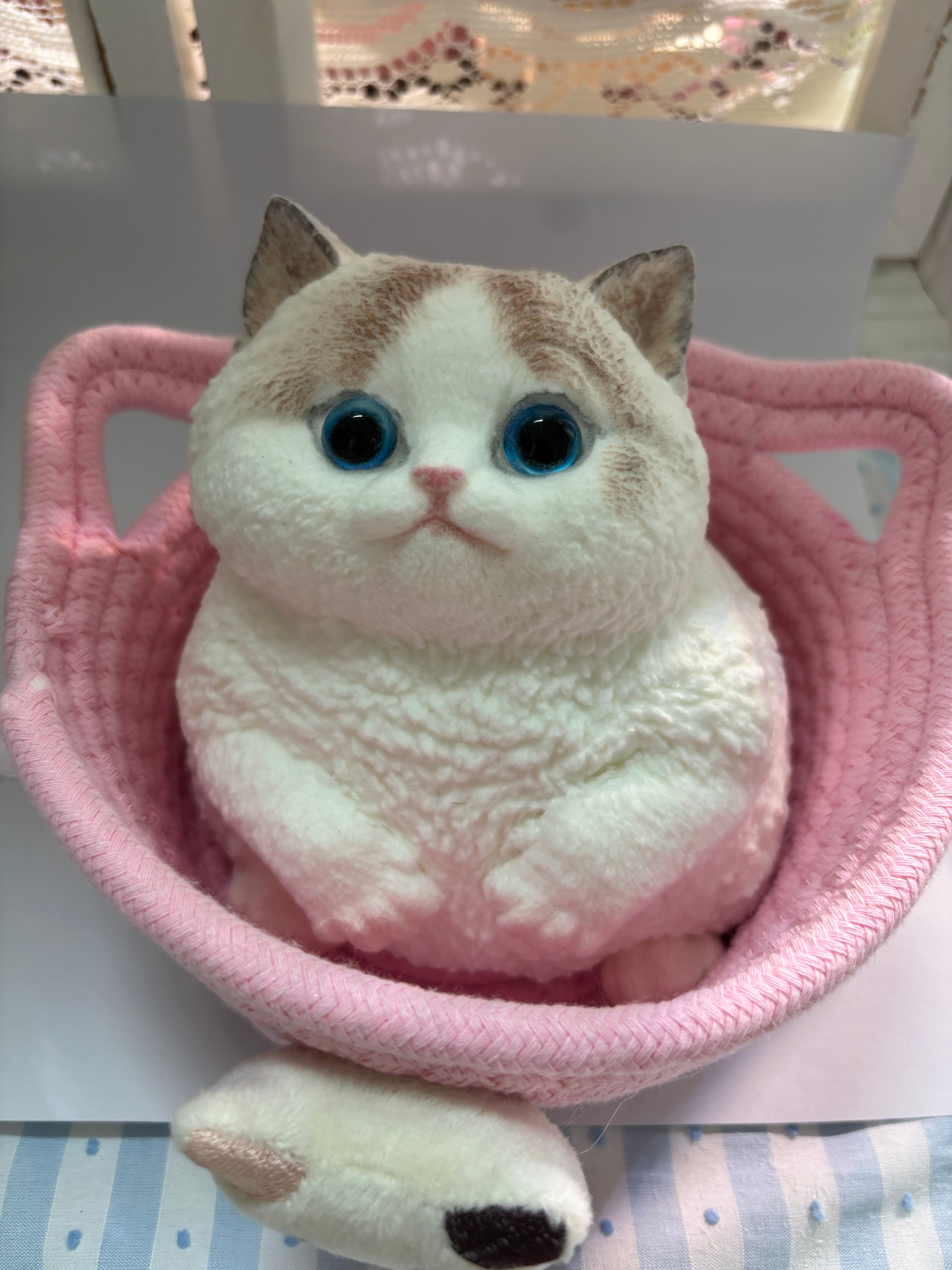 手绘大猫硅胶捏捏