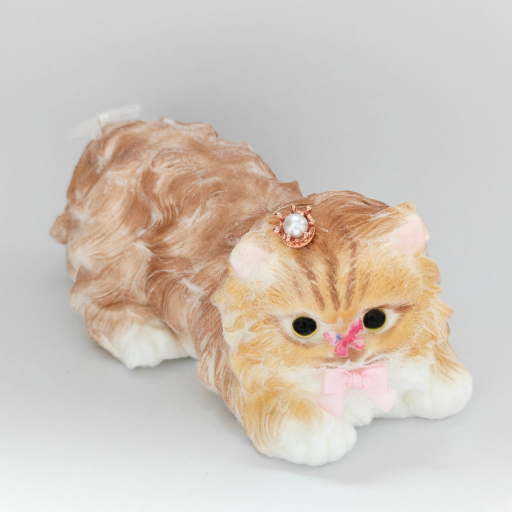 Hand‑Painted Persian Cat Silicone Squishy